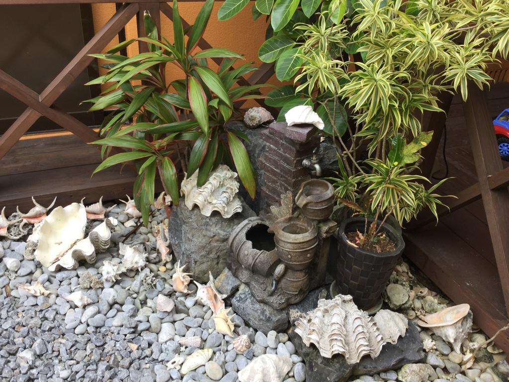 精灵的罐子乡村民宿 今归仁 外观 照片